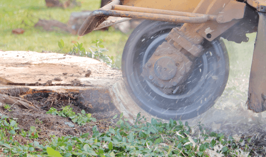 Stump Grinding