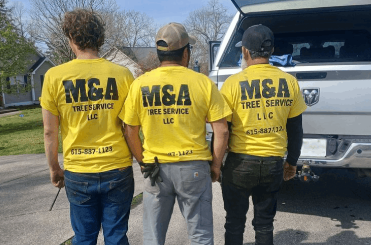 M&A Tree Service